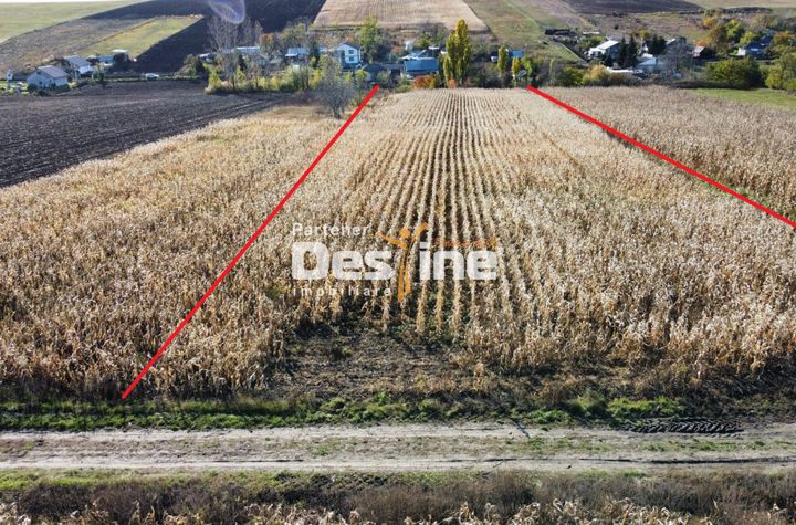 Teren de vanzare COSITENI - Iasi anunturi imobiliare Iasi