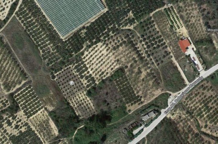 Teren 5507 mp în Akropotamos, Kavala anunturi imobiliare Grecia