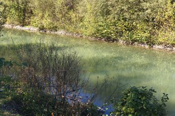 Teren de vanzare FRATAUTII VECHI - Suceava anunturi imobiliare Suceava