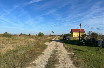 Teren Intravilan de vanzare CENTRAL - Timis anunturi imobiliare Timis
