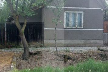 Vilă - 3 camere de vanzare CERMEI - Arad anunturi imobiliare Arad