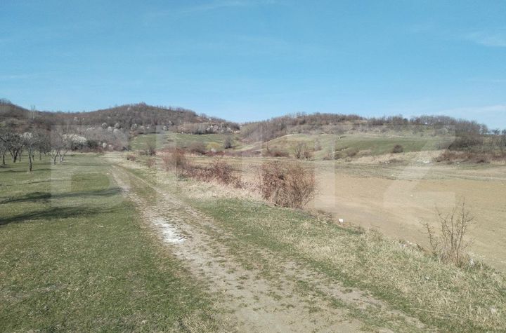 Teren de vanzare ANINOASA - Dambovita anunturi imobiliare Dambovita