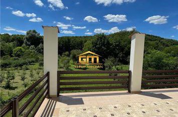 Vilă - 9 camere de vanzare BUJORENI - Valcea anunturi imobiliare Valcea