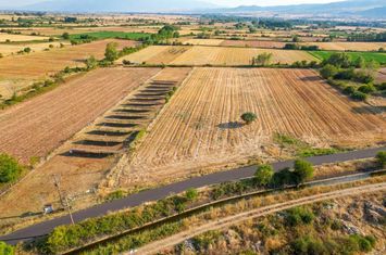 Teren construibil 6.463 mp în Prosotsani, Drama anunturi imobiliare Grecia