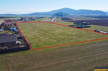 Teren Intravilan de vanzare EXTERIOR EST - Brasov anunturi imobiliare Brasov