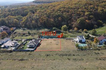 Teren Intravilan de vanzare CETATE - Alba anunturi imobiliare Alba