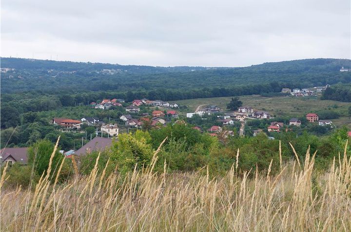 Teren Intravilan de vanzare BUCIUM - Iasi anunturi imobiliare Iasi