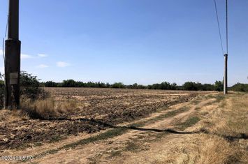 Moara Vlasiei - langa Padurea Biglaru, 11.884 mp, deschidere 40 ml anunturi imobiliare Bucuresti