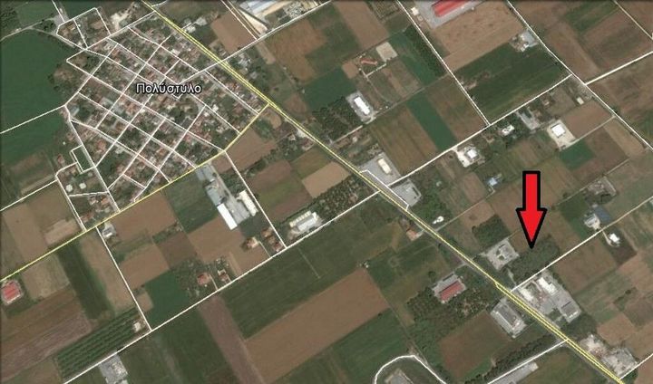 Teren agricol 8.000 mp în Polistilo anunturi imobiliare Grecia