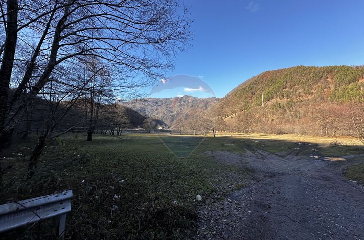 Teren 16,800mp Valea lui Stan / Strada Vultureasa anunturi imobiliare Valcea