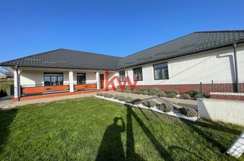 Casă - 5 camere de vanzare URSOAIA - Iasi anunturi imobiliare Iasi