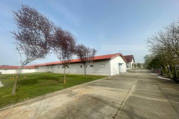 Spațiu comercial de inchiriat TIMISOARA - Timis anunturi imobiliare Timis