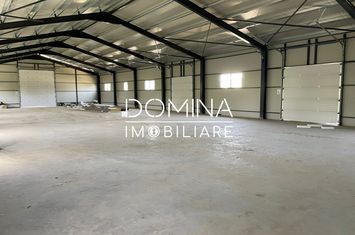 Spațiu industrial de inchiriat BALESTI - Gorj anunturi imobiliare Gorj