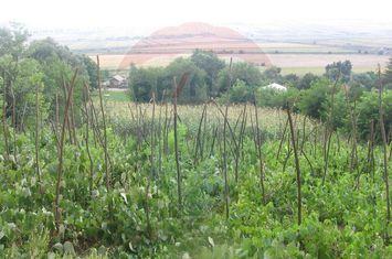 Teren 6,890mp Crasna / Strada Crasna anunturi imobiliare Vaslui