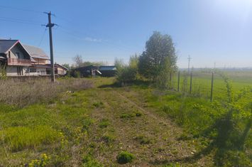 Teren de vanzare RADAUTI - Suceava anunturi imobiliare Suceava