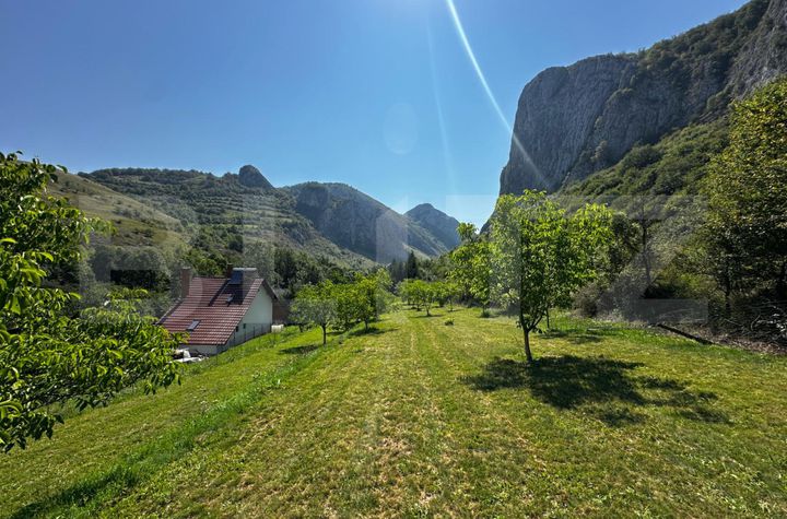 Teren de vanzare VALISOARA - Alba anunturi imobiliare Alba
