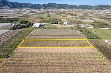 Teren agricol 2.235 mp în Elaiochori anunturi imobiliare Grecia