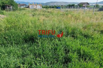 Teren Intravilan de vanzare CENTRAL - Alba anunturi imobiliare Alba