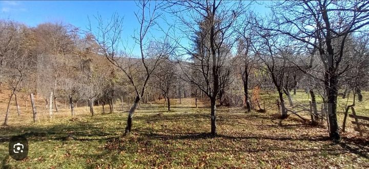 Teren de vanzare TARGOVISTE - Dambovita anunturi imobiliare Dambovita