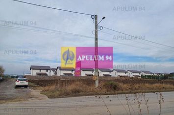 Teren 3.500 mp intravilan construibil pe DJ 602, în Săbăreni anunturi imobiliare Giurgiu