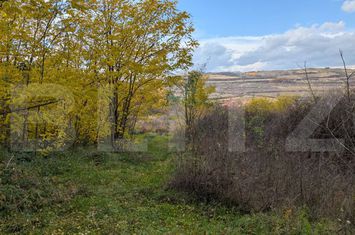 Teren de vanzare SARD - Alba anunturi imobiliare Alba