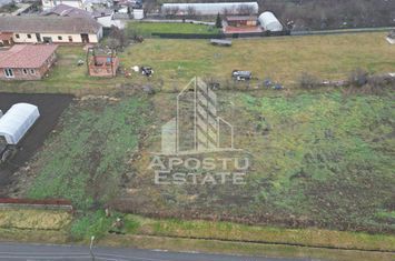 Teren de Vânzare în Dudeștii Noi – 892 mp, Ideal pentru Construcții anunturi imobiliare Timis