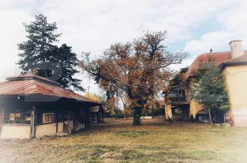 Casă - 12 camere de vanzare PAULIS - Arad anunturi imobiliare Arad