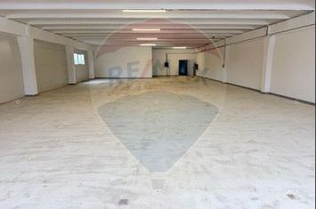 Spațiu industrial in zona Avrig-Inchiriere anunturi imobiliare Sibiu