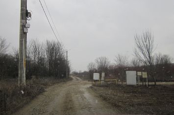 Domnesti- Teghes-Padure. anunturi imobiliare Bucuresti