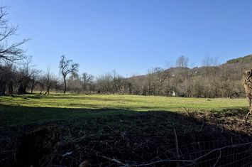 Teren de vanzare GURA VITIOAREI - Prahova anunturi imobiliare Prahova