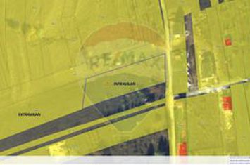 Teren intravilan de vânzare 2.307 mp – Sălicea, comuna Ciurila anunturi imobiliare Cluj