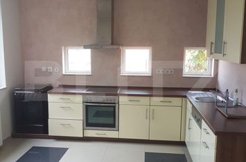 Vilă - 5 camere de inchiriat MOSNITA NOUA - Timis anunturi imobiliare Timis