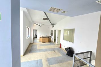Birou de inchiriat POPAS PACURARI - Iasi anunturi imobiliare Iasi