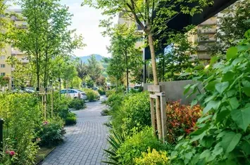 Apartament 3 camere de vanzare TRACTORUL - Brasov anunturi imobiliare Brasov