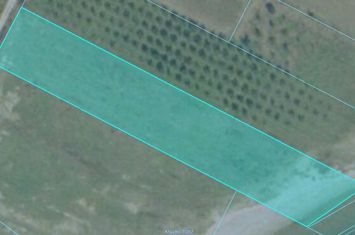 Teren agricol 4.997 mp, prima linie la mare, Paralia Pigion anunturi imobiliare Grecia