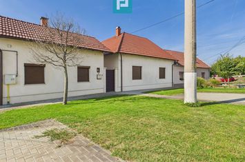 Casă modernă cu 2 corpuri, 5 camere în Pecica anunturi imobiliare Arad