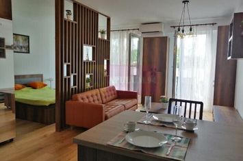 Studio la un pret exceptional in zona Herastrau anunturi imobiliare Bucuresti