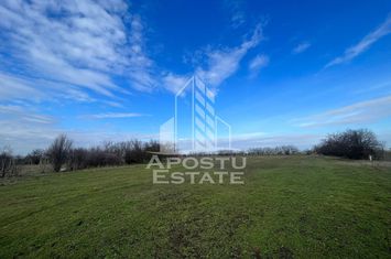 Parcele de teren pentru inchiriat, zona Gai anunturi imobiliare Arad