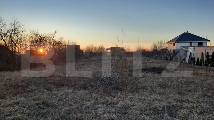 Teren de vanzare BUCOVAT (REMETEA MARE) - Timis anunturi imobiliare Timis