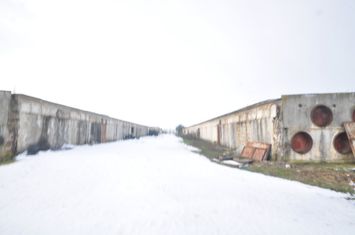 Ferma avicola inchiriere sau vanzare, localitatea Calacea anunturi imobiliare Timis