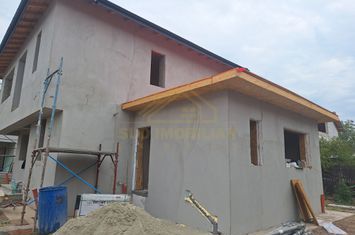 CASA INDIVIDUALA P+1+POD-TEREN 350 MP-MIRASLAU anunturi imobiliare Bucuresti