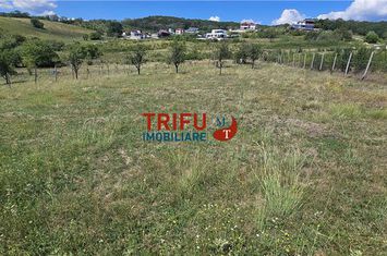 Teren Intravilan de vanzare CENTRAL - Alba anunturi imobiliare Alba