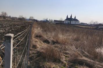 Teren de vanzare FRATAUTII VECHI - Suceava anunturi imobiliare Suceava