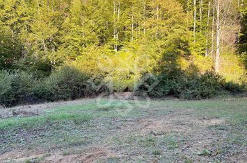 Teren pentru casa de vacanta pe Valea Bratcutei, Bihor anunturi imobiliare Bihor