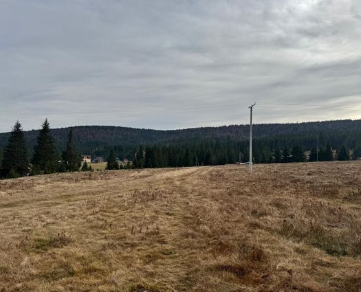 Teren Intravilan Belis, 1002 mp