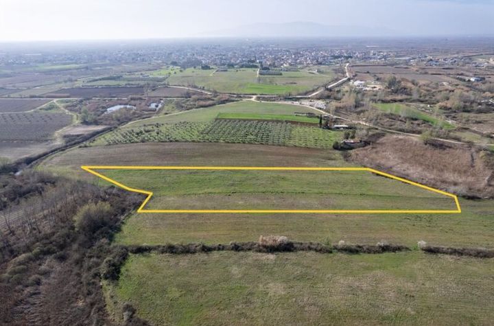 Teren construibil 12.937 mp în Chrysoupolis anunturi imobiliare Grecia