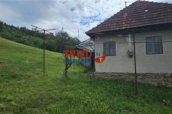 Casă - 2 camere de vanzare CENTRAL - Alba anunturi imobiliare Alba