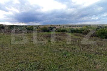 Teren de vanzare CIURILA - Cluj anunturi imobiliare Cluj