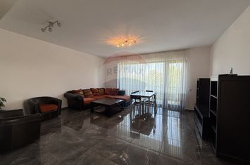 Casă / Vilă cu 4 camere de închiriat anunturi imobiliare Cluj