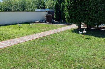 Vilă - 4 camere de vanzare HARMAN - Brasov anunturi imobiliare Brasov